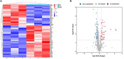 APOE as potential biomarkers of moyamoya disease